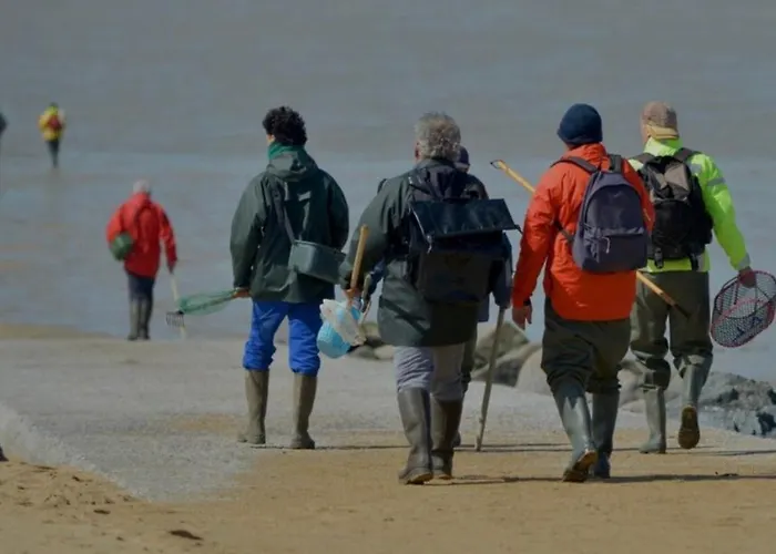 House بيت للعطل